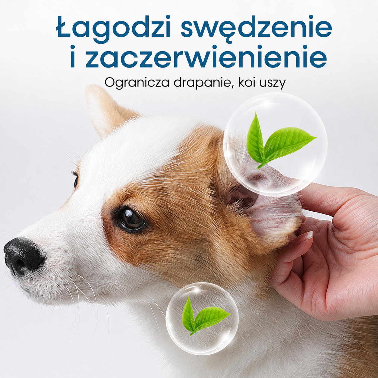 🔥 Dzisiaj RABAT 50% | CureVivo® Środek do czyszczenia uszu dla psów i kotów 👩‍🔬Delikatna naturalna pielęgnacja uszu z ekstraktami roślinnymi 🌿